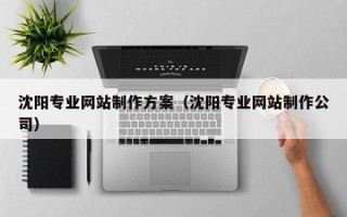 嘉鱼沈阳专业网站制作方案（沈阳专业网站制作公司）